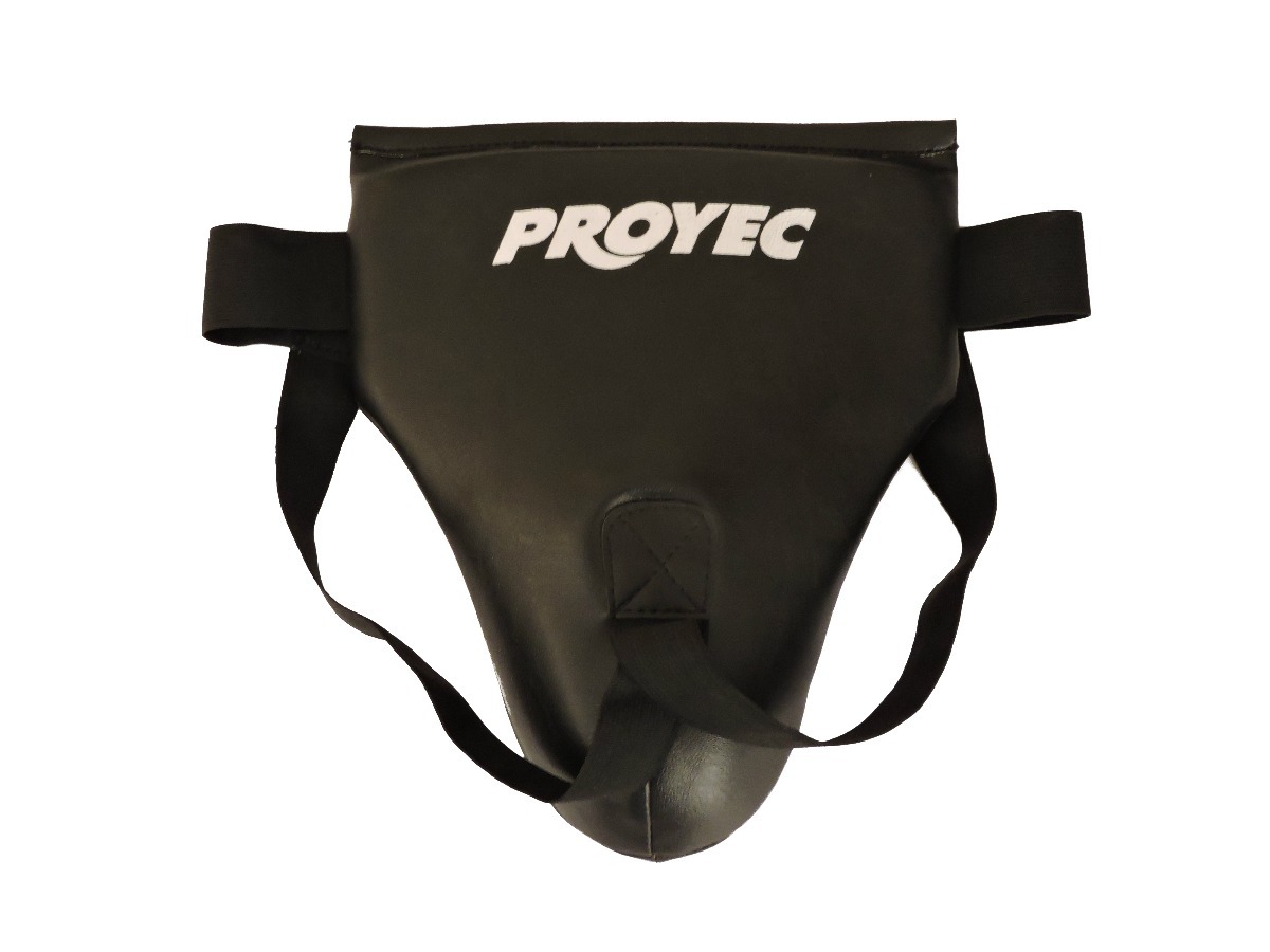 proyec